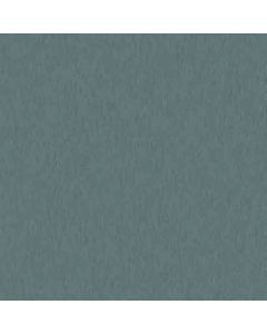 Platinum Disk (K523BS)