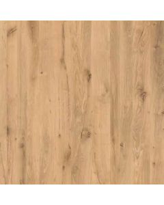 Gold Armadas Oak (K584BS)